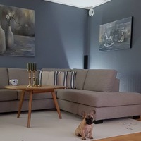 @jan.t.pettersen.9